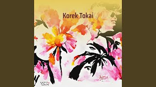 Download Lagu Korek Tokai (Acoustic) Download Lagu Korek Tokai (Acoustic)