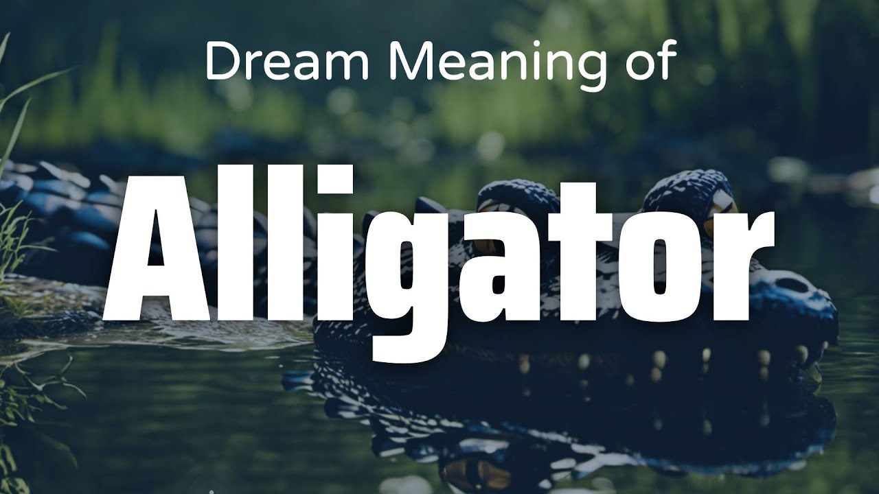 Alligator Dream Meaning & Symbolism Interpretation Psychology YouTube