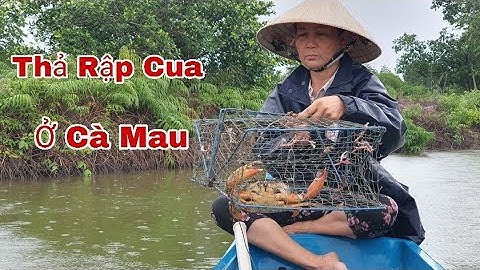 Bơi Xuồng Thả Rập - Bắt Cua Biển Ở Cà Mau - Giữa Lúc Trời Mưa To |Thảo Phan Vlog