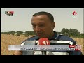 جبنيانة وسط نجاح تجربة زراعة القمح مرتين في السنة انطلاق موسم الحصاد جبنيانة وسط نجاح تجربة زراعة القمح مرتين في السنة انطلاق موسم الحصاد