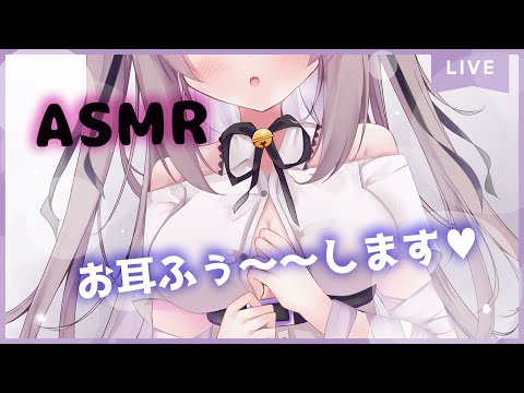 🔴【ASMR/3dio】お耳ふー♡ふー♡してゾクゾクさせる！【耳ふー/耳はむ/吐息/タッピング/EarBlowing/Wispering/猫遊みか】