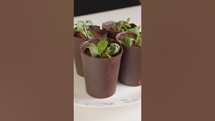 Flower Pot Dessert #shorts