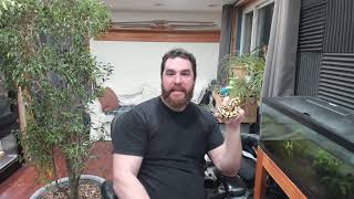 Livestream #1