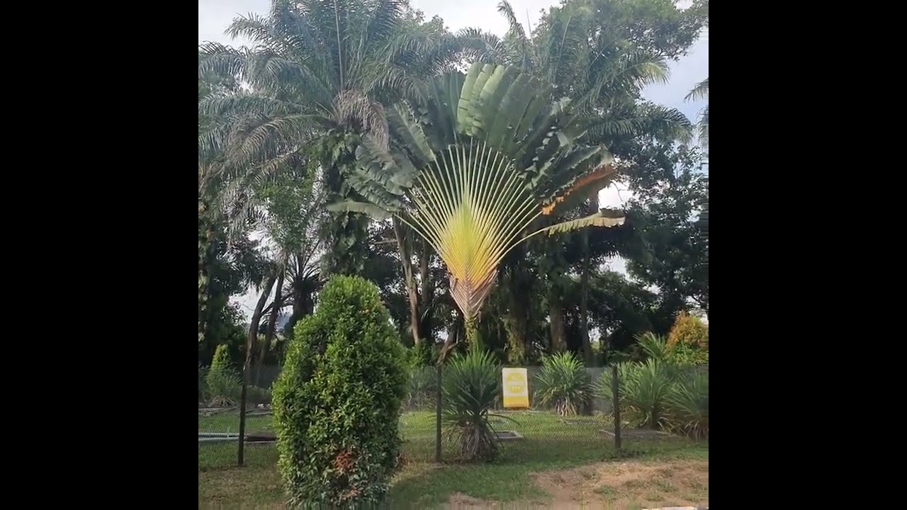 Cyberview Resort | Kuala Lumpur, Malaysia|