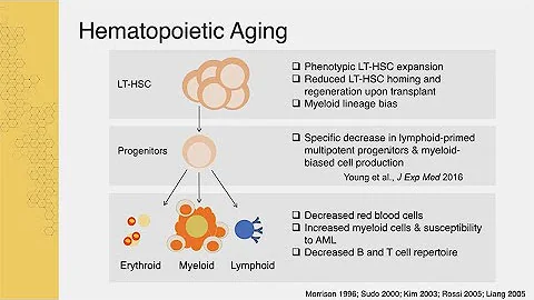 Drivers of Hematopoietic Stem Cell Aging with Jennifer Trowbridge - Sanford Stem Cell Symposium