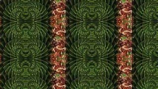 Before The Deluge - Jackson Browne