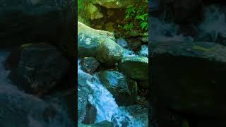 River Flow ASMR #sleepsound #deepsleep #meditate #nature #studysound #stressrelief #calming #shorts