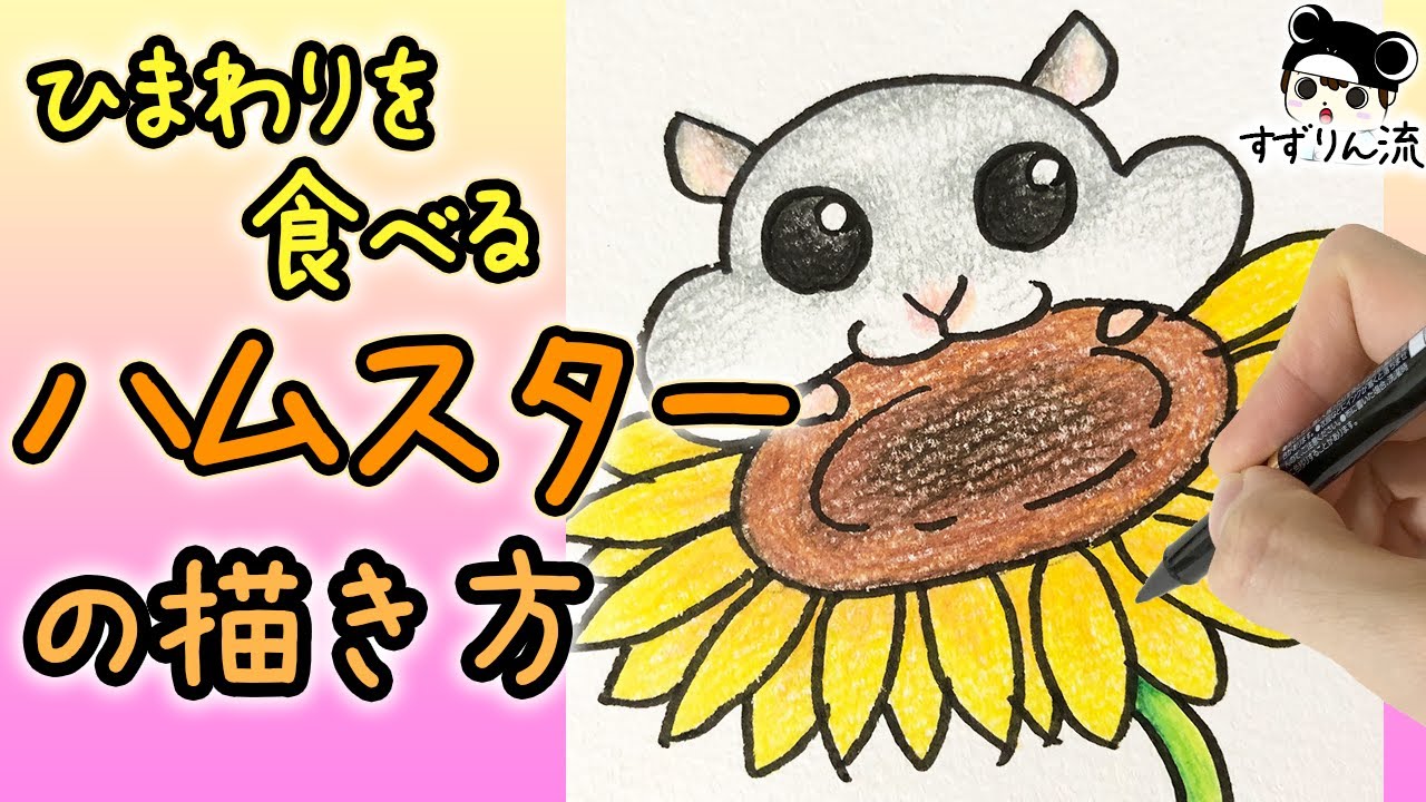 Cute Illustration How To Draw A Hamster Eating A Sunflower Youtube