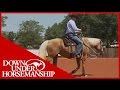 Clinton Anderson: Training a Rescue Horse, Part 10 - Downunder Horsemanship