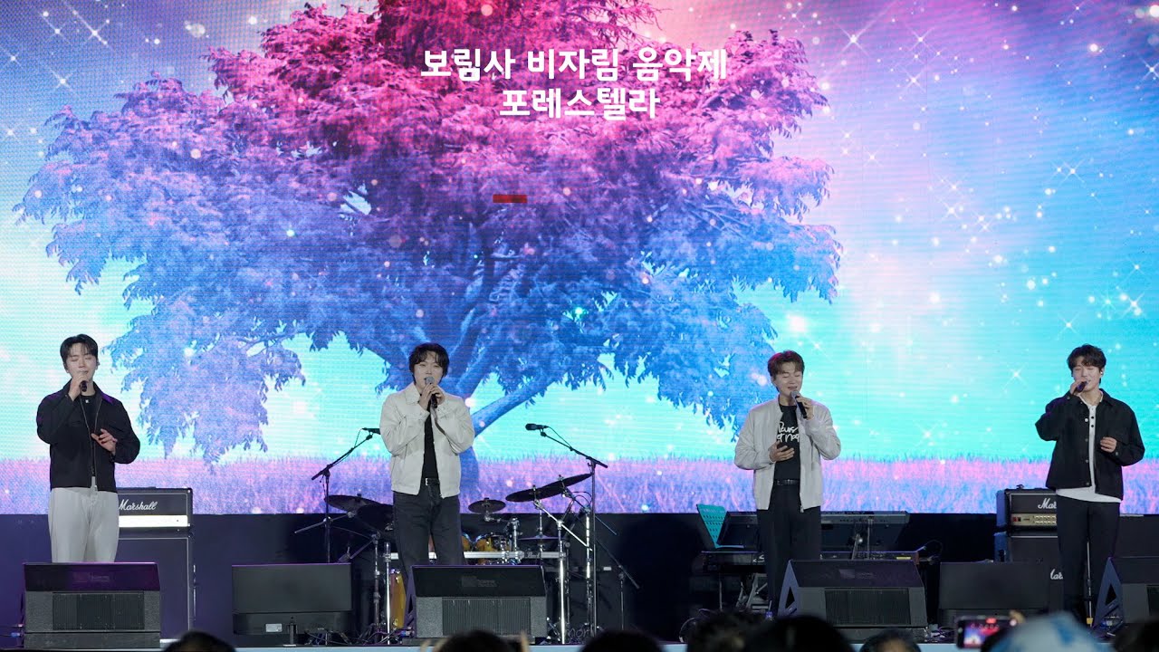 장흥 보림사 비자림 음악제 full 버전 포레스텔라 251018 #forestella