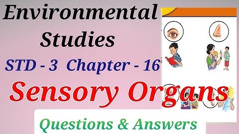 Std. 3 | EVS | Lesson 16 | Sensory Organs | Digest