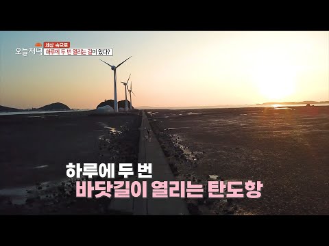 [생방송 오늘 저녁] 새롭게 떠오른 <strong>일몰</strong> <strong>명소</strong>! 탄도항🌅, MBC 230912 방송
