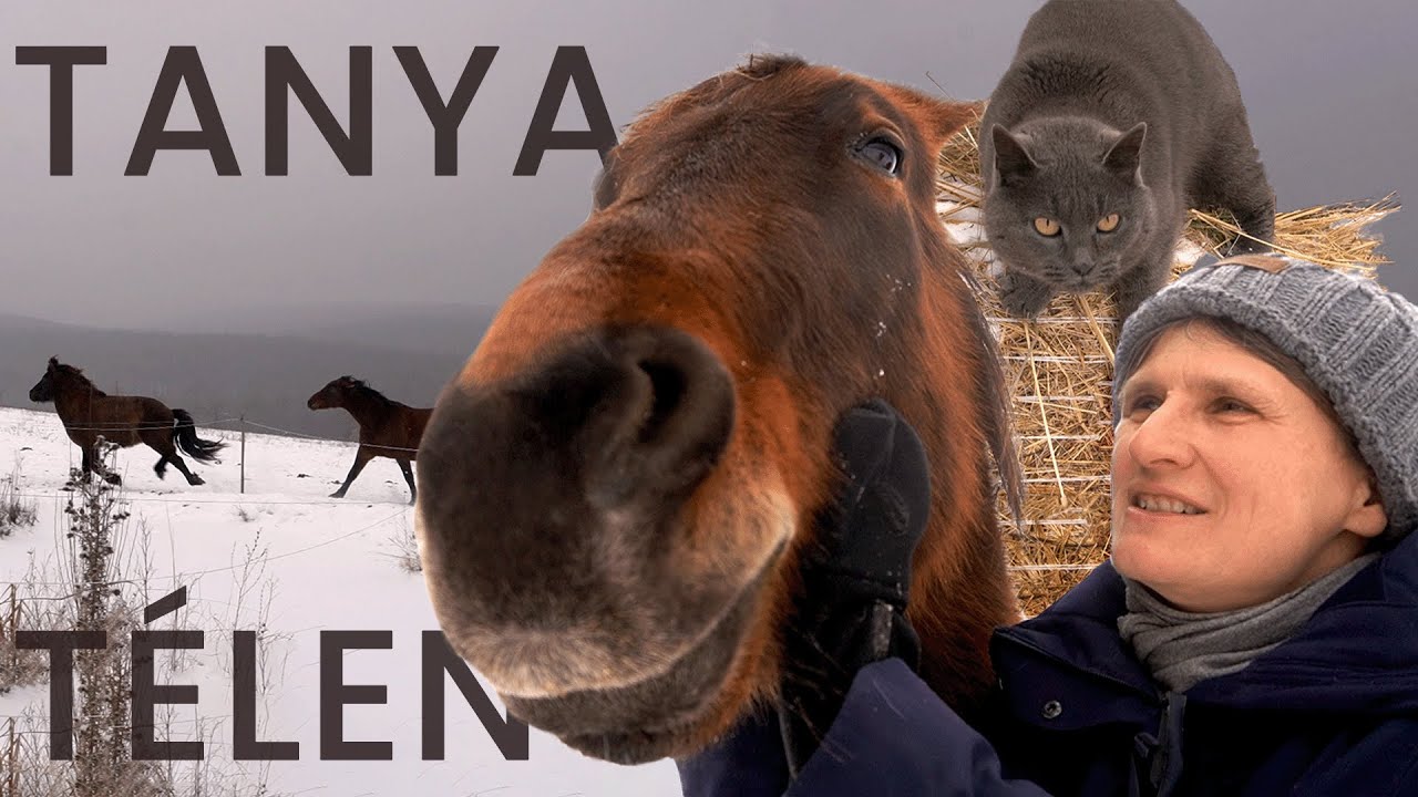 Élet a Tanyán TÉLEN 🌨️