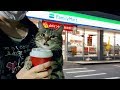 妹と絶対に離れたくなくて夜のお買い物についてきてしまった猫w