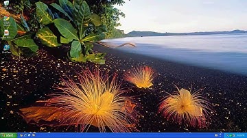 Windows XP Professional Review running in a Virtual Machine