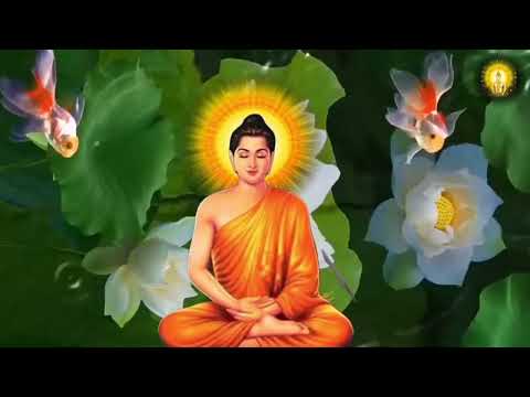 Video NHẠC THIỀN MỚI NHẤT_TÂM AN_THƯ GIÃN_CHỮA... - youtube