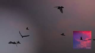 Cenit85 - Last Goodbye