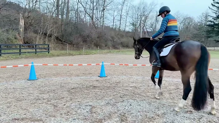 Under Saddle with Henley First Time Without Ground...