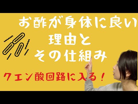 【　お酢が身体に良い理由はこれなんです！　疲労回復の仕組みと、クエン酸回路でお酢が活躍する理由。　】  And this is why vinegar is so good for you!