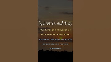 القارىء ماهر عرار 💙 حالات واتس اب قران ❤ تلاوة خاشعة 💙Quran Status 💜 اية قرانية قصيره💚ستوريات انستا