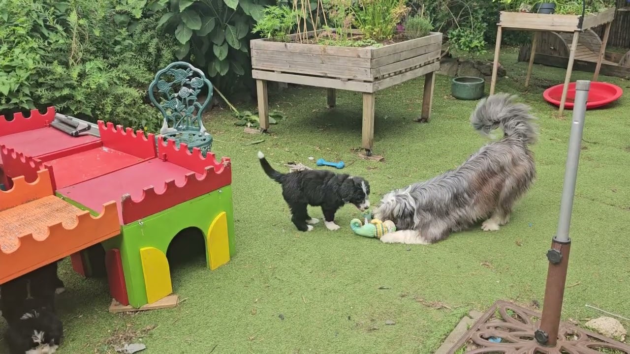 Ietsje koeler, dus spelen!