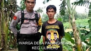Download Lagu Warga desa Palangiseng Kec. Lilirilau tolak berita Hoax MP3