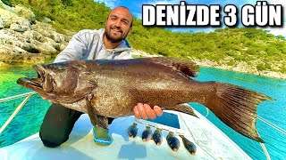 TEK BAŞINA DENİZDE 3 GÜN - TEKNEDE KAMP (4K)