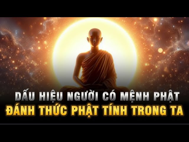 Outline Video Dấu hiệu NGƯỜI CÓ MỆNH PHẬT - Cách đánh thức PHẬT TÍNH trong ta