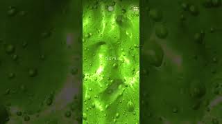 Asmr Com Geleca Gosmenta