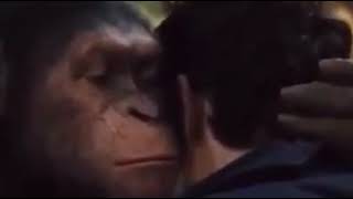 Monyet pinjem duit