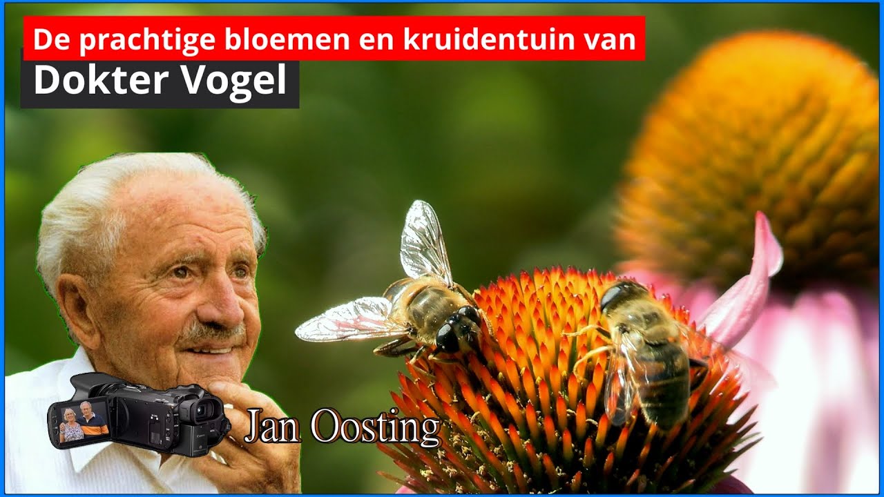 Dokter Vogel tuin. Een ontdekkingstocht langs natuurgeneeskundige planten.