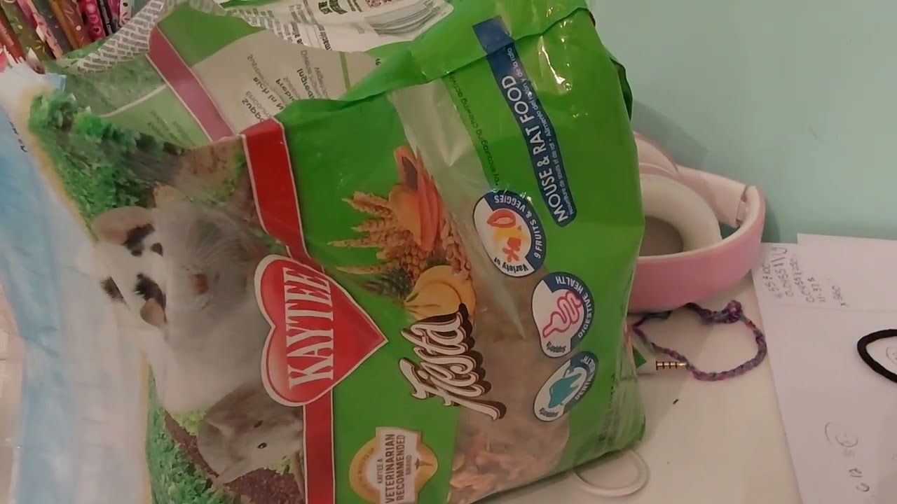 Petite activiter ensemble!