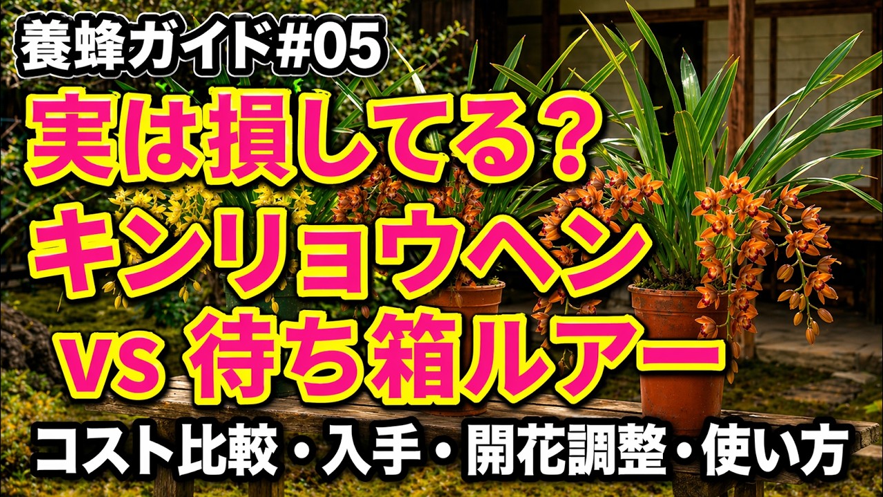 Episode 5 - Japanese Honeybee Beekeeping Guide: The bee-attracting