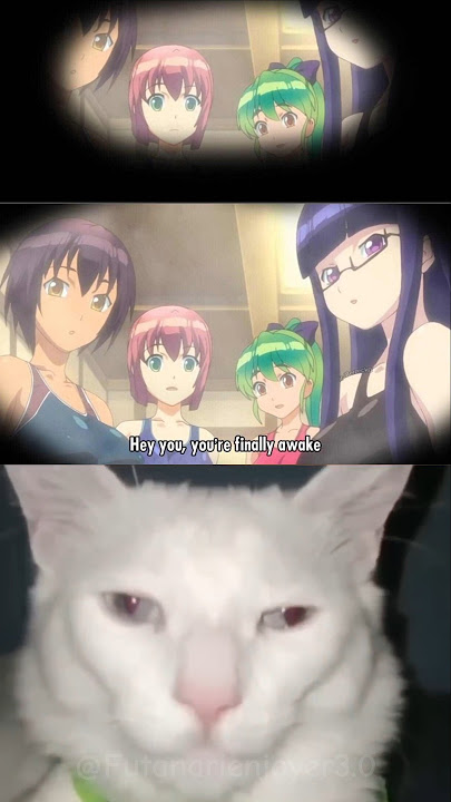 Futanari Isekai #futa #futanari #futabu #humor #anime #hanime