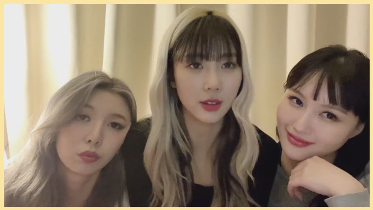 welcome to siyeon, yoohyeon & dami's live 🐺🐶🐼 드림캐쳐 시연 유현 다미 라이브 환영합니다~