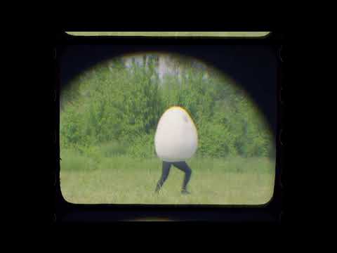 Camera 40' | HORNBACH Nederland