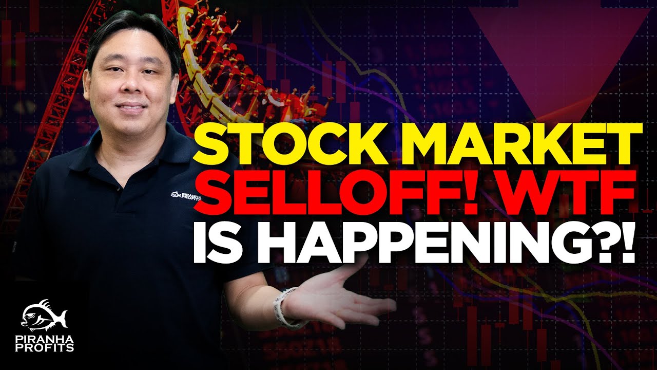 Stock Market Selloff! WTF is Happening?