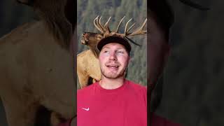 Bill Busbice Controversy!