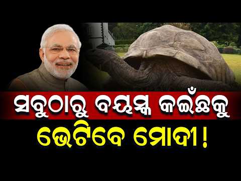 ସବୁଠାରୁ ବୟସ୍କ କଇଁଛକୁ ଭେଟିବେ ମୋଦୀ ! || Odia News || DinalipiLive