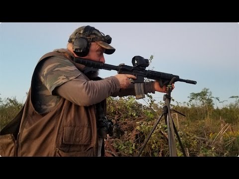 50 Beowulf 6 5 Creedmore Terminal Ballistics Hog Example Youtube 50 Beowulf 6 5 Creedmore Terminal Ballistics Hog Example Youtube