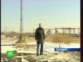 Перелетным птицам вредны небоскребы?