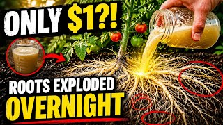 The $1 Recipe Garden Centers WON'T Sell You (Root Will Explode)