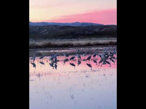 First Snow (Ooah remix) - Emancipator