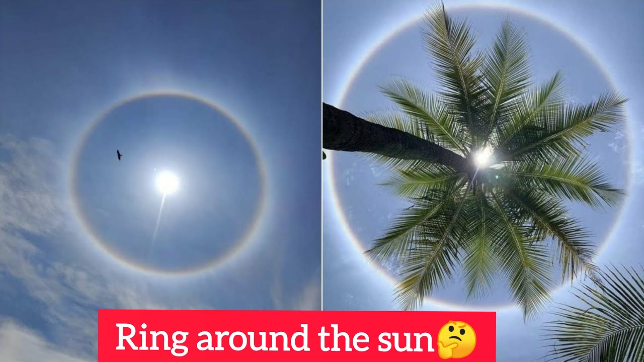 Why ring around the sun /moon? | 22° halo ring | சூரியனைச்சுற்றி ஏன் வட்டம்? | MR.FACTOPEDIA | TAMIL
