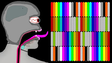 The Crazy 6 Leg Elimination Marble Race In Algodoo