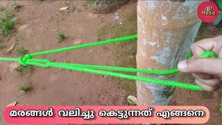 If you learn to tie a strong aya | How to tie trees Truckers hitch | Butterfly Knot