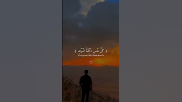 اكتشف نعمة السكينة والهدوء من خلال تلاوة #القرآن_الكريم #المصحف #الرحمن
