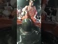 Sri vidhushekhara Bharati Swamijiವಿಧಿಶೇಖರ ಭಾರತಿ ಸ್ವಾಮೀಜಿ |ಶೃಂಗೇರಿ|Sringeri|Pashupatinath Temple|ಪಶುಪ