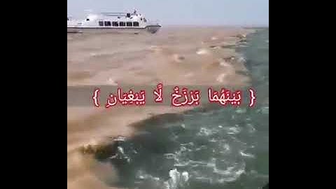 البرزخ_ سبحان الله😌 القارئ احمد العجمي💙 حالات واتس اب قران// حالات واتس دينية// مرج البحرين يلتقيان