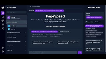 Page Speed AI Agent - Store Speed Doctor: Stop losing sales to a slow site.
